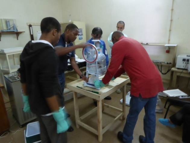 Ice-point thermometer calibration